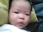 Pic0808010