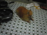 Pic1017029