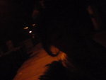 Pic1017003