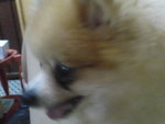 Pic1024008