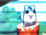 Pic1025003