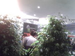 Pic1027045