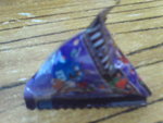 Pic1102022