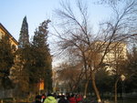 IMG_2683