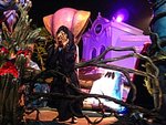 IMG_4479