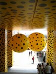 IMG_4620