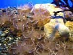 IMG_4956