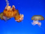 IMG_4964