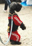 DSC_2885+