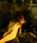 blur01