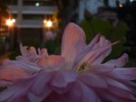 DSCF5752B+