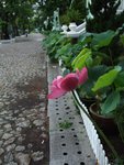 DSCF6021B+