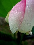 DSCF6036MB+