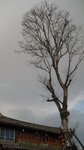 Back to Lijiang again!