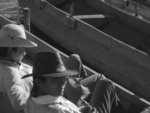 Cow boy? No, they're Row Boy