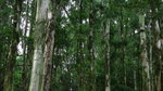 照片 089