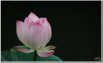 照片 030