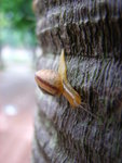 照片 256