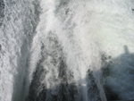 IMG_2778