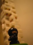 IMG_2804