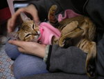 P1080088