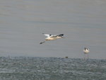 IMG_9202