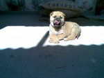 20090111(022)