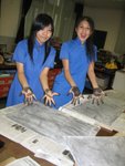 me n sica