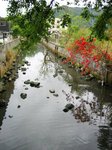 IMG_0045