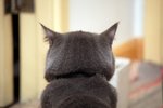 賭~O~O~O~O~O~O~神!