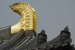 _DSC0033