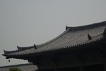 _DSC0045