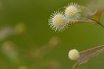 _DSC0009
