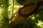 _DSC0108