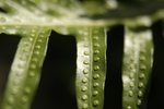 _DSC0110