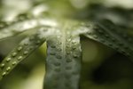 _DSC0112