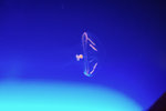 a_0003