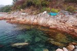 海胆養殖埸