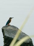 _DSC0171