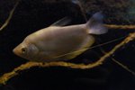 _DSC0178