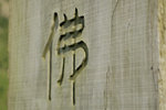 _DSC0188