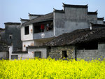Xidi Ancient Village