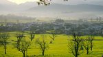 Lu Village 盧村的晨早