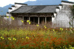 Tangmo Ancient Village