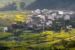 Jiangling 江嶺