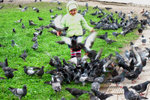 Lovely kid feeding pigeons in the courtyard outside Trinity Monastery.
