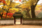 Rear Garden of Changdeok Palace in Seoul