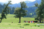 A Quiet Afternoon in Nalat Grassland