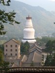 The White Pagoda Temple