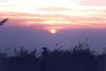 "Breaking sleepiness 擊退睡魔", Trailwalker 2001, Tai Mo Shan 大帽山, 10/11/2001